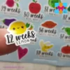 pregnancy planner stickers