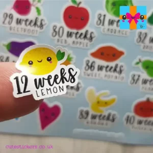 pregnancy planner stickers