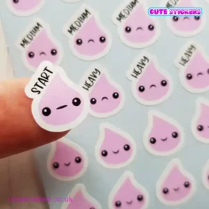 menstrual planner stickers