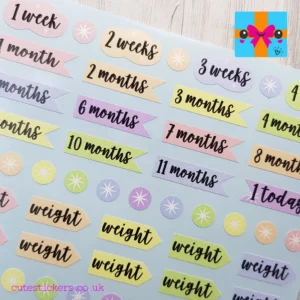 baby milestone planner stickers