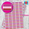 Pink Lesbian flag stickers 3 sizes