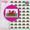 Welsh flag stickers 6 sizes