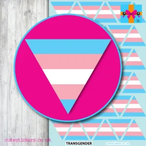 Triangle Transgender Flag Stickers